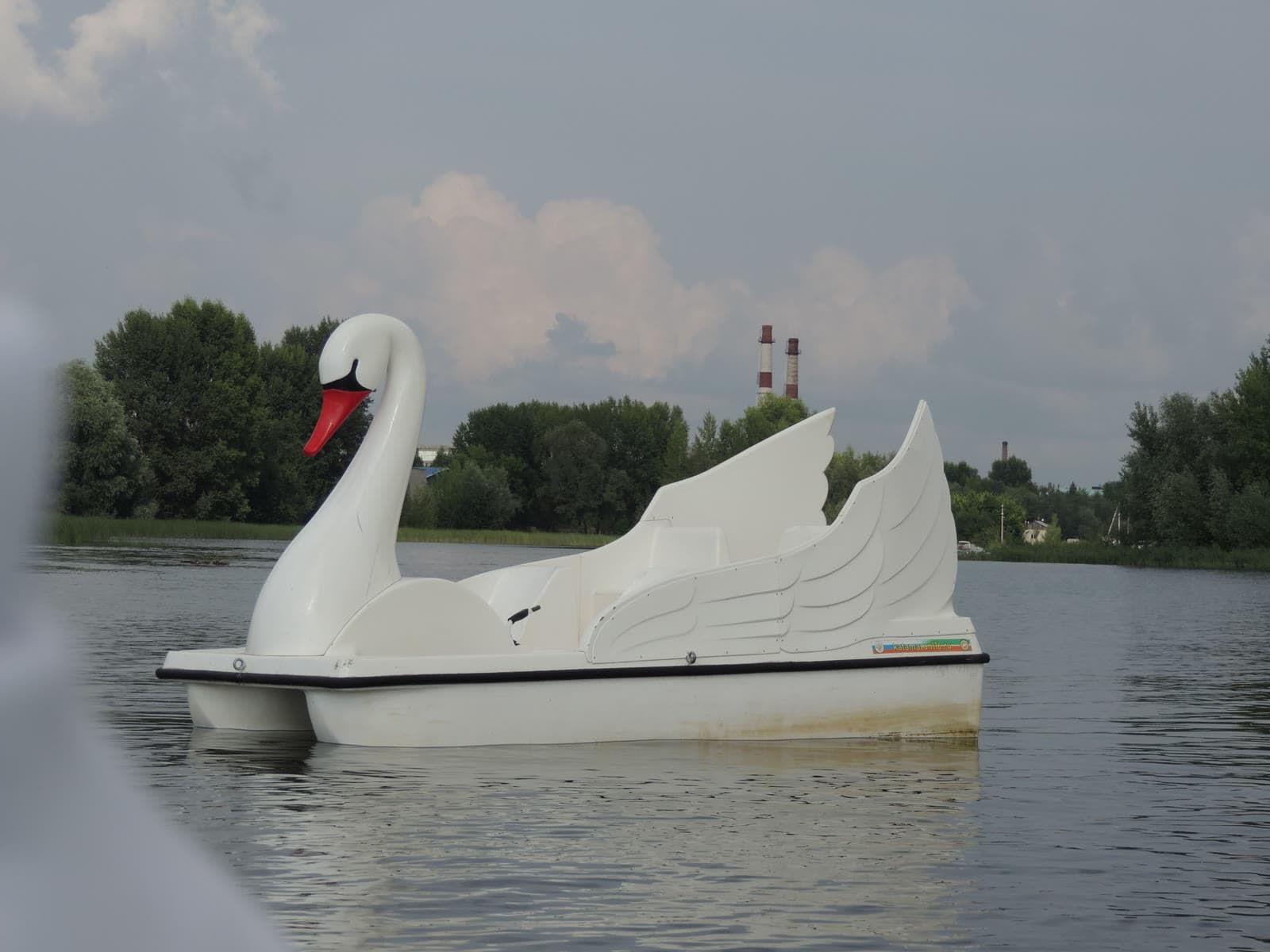 Лебедь на просторе